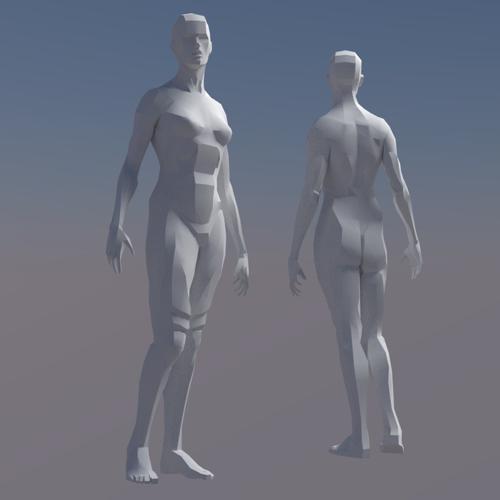 Rigged Female Figure preview image